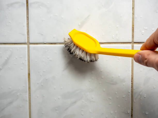 Best Commercial Mold Remediation in Gladstone, MI